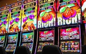 tp78 bingo online interaktif seru